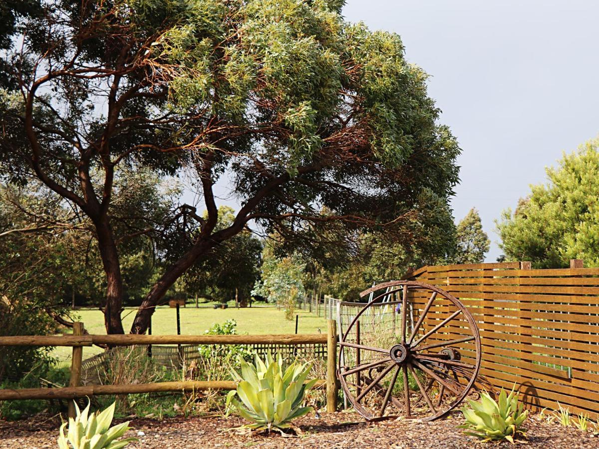 Bellum Hotel Mount Gambier Exterior photo